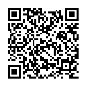 眼睛灼灼地看着在被医生诊治的昏迷不醒的欧阳言二维码生成