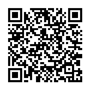 眼神焦虑的盯着下方不断被光幕威能弹开的海族二维码生成