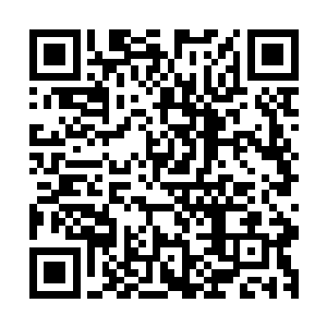 眼神轻蔑的看了一眼帝寒就像是经常这么做一般动作非常流畅二维码生成
