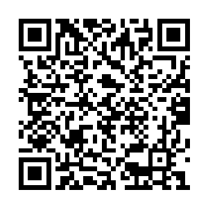 眼见得众妖王和妖帅惊恐的目光集中到自家身上二维码生成