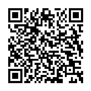 眼见得吴岩看着黑鲨妖王离去的方向沉思着什么二维码生成