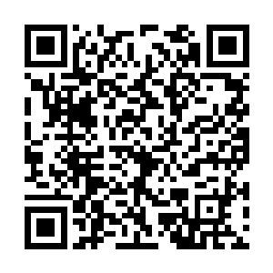 眼见白火蛟在铜铃音波的攻击下舌头一晃暴怒起来二维码生成