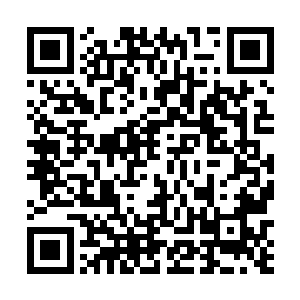 眼见着噬魂魔尊的攻击就要落到红衣老者的身上的时候二维码生成