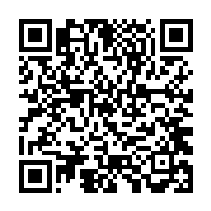 眼见着最大的那只铁线独角蟒硕大的头颅迅捷地一晃二维码生成