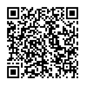 眼见着那些为了保护自己的弟兄一个个如同蝼蚁般死在敌人的手下二维码生成