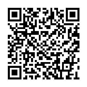 眼见着龙傲天的身体马上就要被黑莲吞噬的瞬间二维码生成