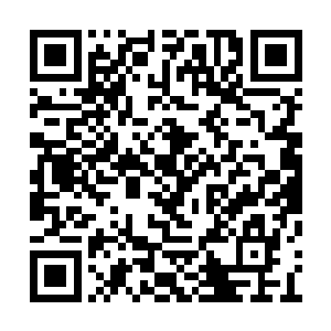 眼见那一艘人族的行宫秘宝在持枪青年的带领下二维码生成