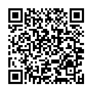 眼角余光却早已将饶仁侃和苏酂的小动作瞧了个一清二楚二维码生成