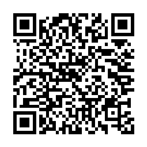 眼角余光都留意着永固时空门漆黑镜面上的波澜二维码生成