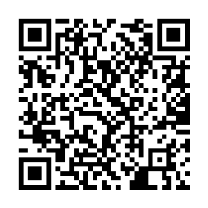 眼角的余光却始终在关注着站在吴岩身侧的玄鸦子二维码生成