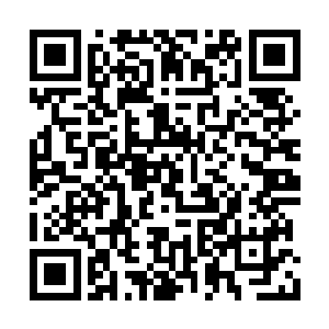 眼里第一反应的还是自己那个在面包车上的同伴二维码生成