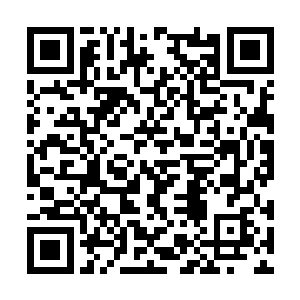 眼镜刑警就利用技术手段把曲苗苗手腕的画面放大二维码生成