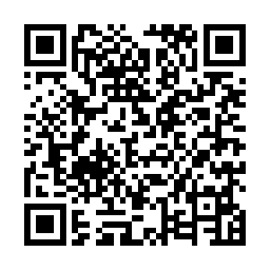 着实不明白究竟是什么原因导致他可以出现在乾坤殿中二维码生成