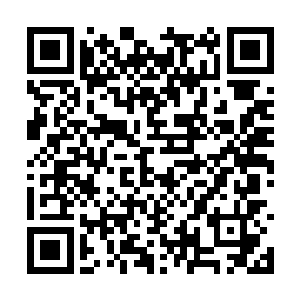 着正事的白兰立刻兴致勃勃的自荐要当司机兼钱包二维码生成