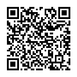 着装堪比时装发布会的装扮让众人一下就看花了眼二维码生成