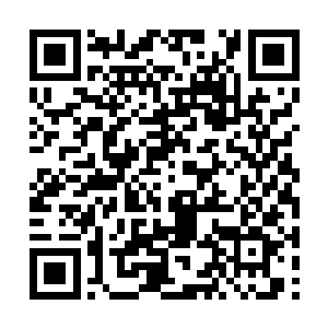 督宰大人和高天奇就重新回到了督宰大人的飞舟里二维码生成