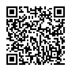 睿儿说完之后还对着坑里的碎花露出了一个天真无邪的笑意二维码生成