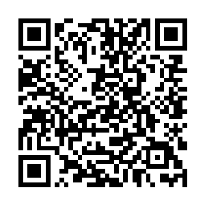 睿儿软软地声音回应了之后它也蹲下了自己的小身子二维码生成