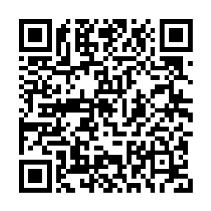 瞅着他那架式就好像要冲上前去把这孩子给掐死二维码生成