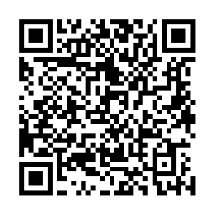 瞬也不瞬的与她在泪光的渲染下更显清澈透亮的眼神对视着二维码生成