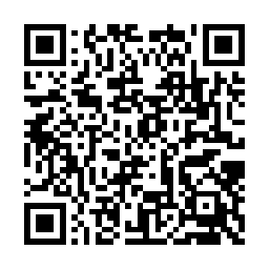 瞬时笼罩了以莲花为中心起点的数十丈方圆地域二维码生成