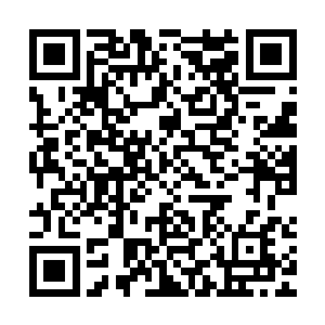 瞬间再次在那个人的身上切出一道将近十厘米长的恐怖伤口……二维码生成