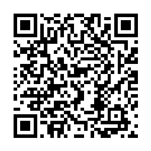 瞬间十几个人直接朝着水柔和孙婆婆两个人的方向飞掠而去二维码生成