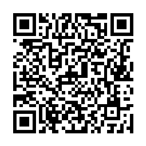 瞬间孙权只觉面前犹如出现了一头恐怖的唐猊神兽二维码生成