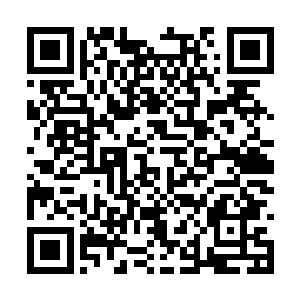 瞬间就变成了拥有九颗规则之首的梦魇九头蛇本体二维码生成