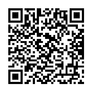 瞬间的疼痛让刚才还失神的年轻病人凄惨的喊了一声二维码生成