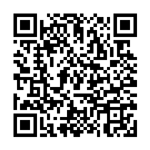 瞬间穿越了石阵高高扬起金箍棒朝着镇元子砸了过去二维码生成