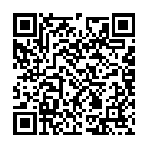 瞬间紫金天蜈的身上再一次出现了两道恐怖的伤口二维码生成