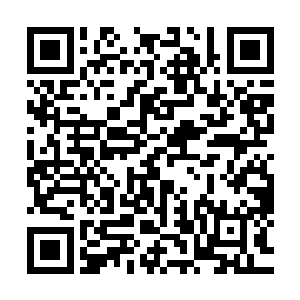 知行院里没有人能下到第六层的海底矿沟去打捞海蓝铁矿石了二维码生成