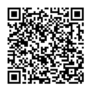 知道幕家两个还活着的小子以及救下幕家两小子的人不可能是自己丈夫的对手二维码生成