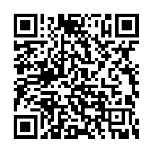 知道我和你父亲当初为何会把你丢在这个世界吗二维码生成
