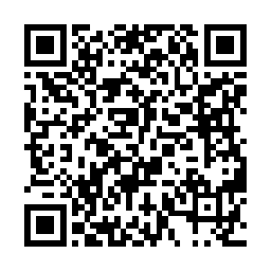 知道王猛已经派人将有关密折的消息送往京城严府了二维码生成