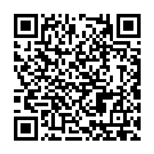 知道看到荣光用油炸丸子摆脱了法兰克福的中后卫二维码生成