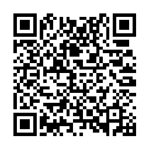 知道这个大家伙在部落族人心里有非同一般的地位二维码生成