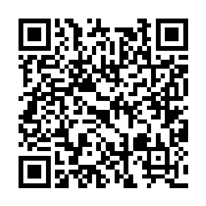 知道这是路广天在这几天里在天欲城内收购的药材二维码生成