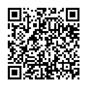 短短七天只能说让你了解了一大致的方向和纲要二维码生成
