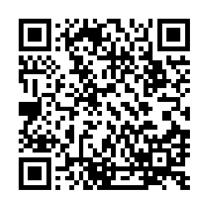 短短时间不管是她还是夭华都很快被冲上来的士兵围在其中二维码生成