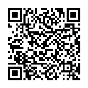 短短时间将AI推进全国五十强的怎么会是一般人呢二维码生成