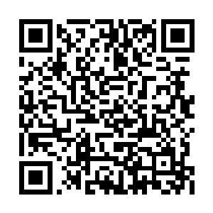 矮个武霸看到自己的师兄差点要被雷天砍成两半二维码生成