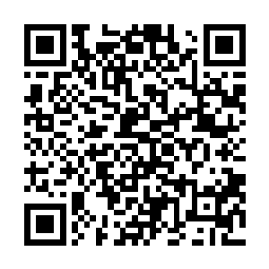 矮魔族老者一口气抛出几个他自认为相当有诱惑力的条件二维码生成