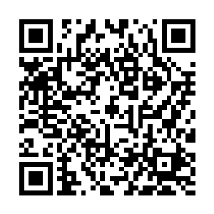 石书记估计会去省里向梁省长汇报这个项目的可行性二维码生成