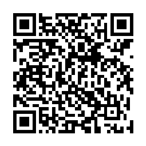 石云边修炼的还是白主留下的为了方便他们接引核对用的二维码生成