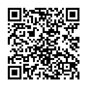 石头满怀期待的等待那个人能够确认金属牌上的内容二维码生成