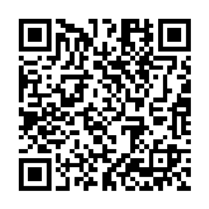 石明轩是在其中一个的身体里装了追踪器和微型炸弹二维码生成