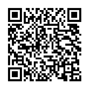 石洞天机杀招也不是一般的智道蛊仙能够催用的二维码生成
