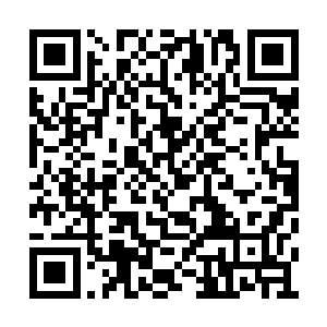 研究这等毒辣的剑法还要先在小白鼠身上试解药二维码生成